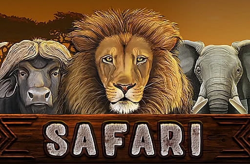 Safari review