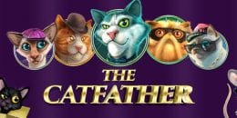 The Catfather screenshot