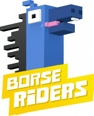 Borse Riders review