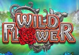 Wild Flower screenshot